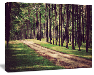 Vintage Style Forest with Pathway, Modern Forest Canvas Art, 20"x12"