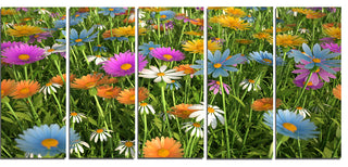 Different Color Flowers in Field, Floral Canvas Art Print, 60"x28", 5 Panels