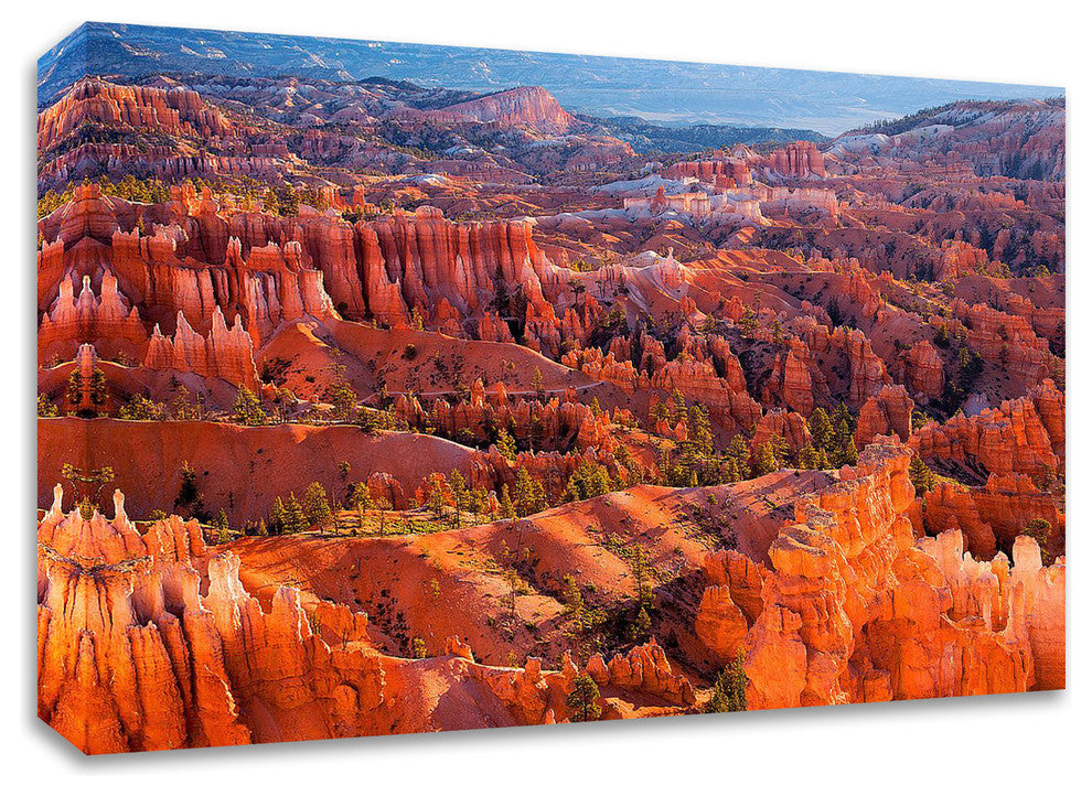 Morning Light by John Gavrilis, Print on Canvas, Ready to Hang