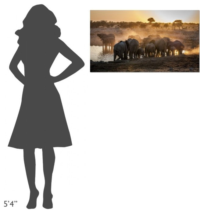 "Elephant Huddle" Stretched Canvas Giclee by Simon Van Ooijen, 36x21"
