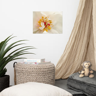 Eye of Peony Nature Photography, Floral Unframed Wall Art Print, 12" X 16"