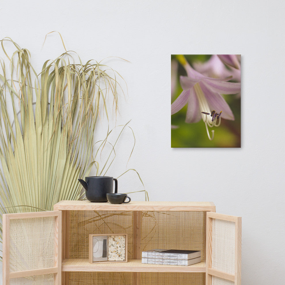 Close-up Hosta Bloom Floral Nature Photo Canvas Wall Art Print, 18" X 24"