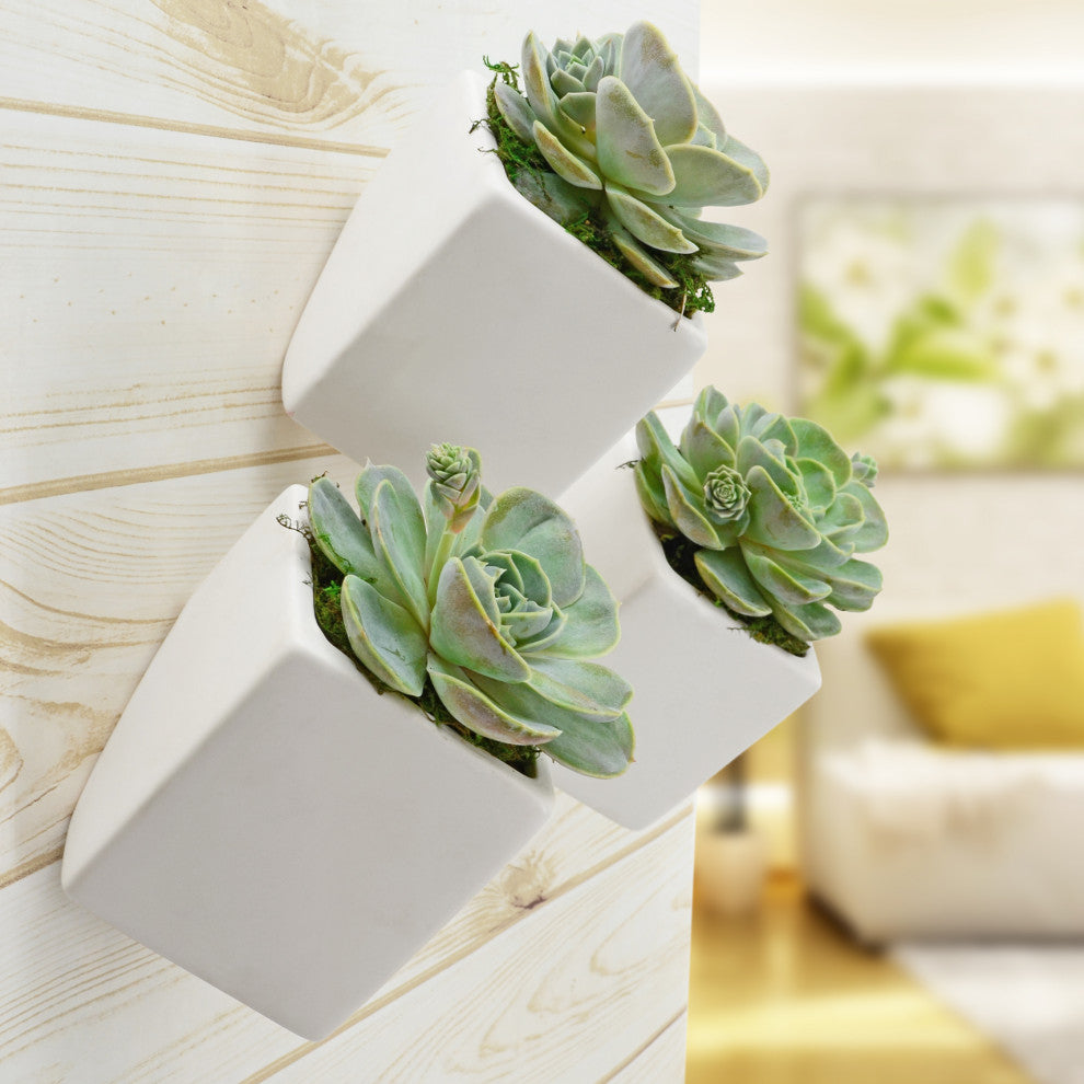 Large Cube Wall Planter, Matte White