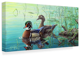 Jeff Tift 'Wood Ducks' Canvas Art, 32"x16"