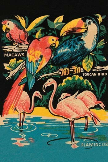Tropical Hobbyland - Birds - Gallery Wrapped Canvas Art 12" x 18"
