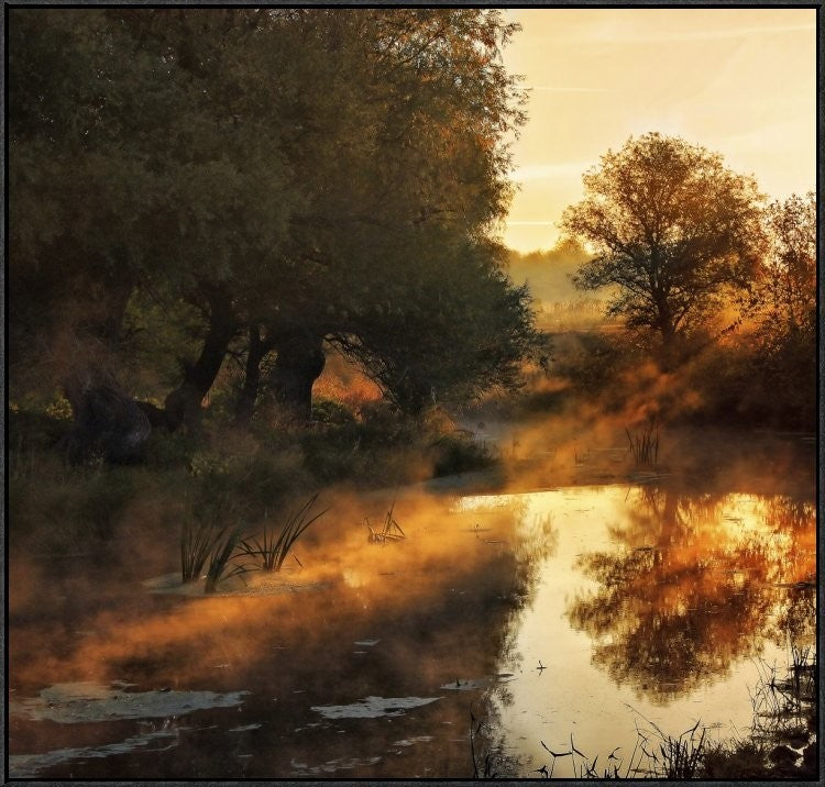 "When Nature Paints With Light" Framed Canvas Giclee by Jimbi, 37x35"