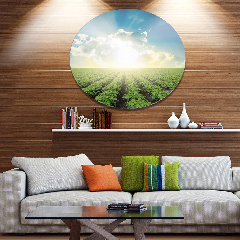 Beautiful Potato Field At Sunset, Landscape Disc Metal Wall Art, 23"