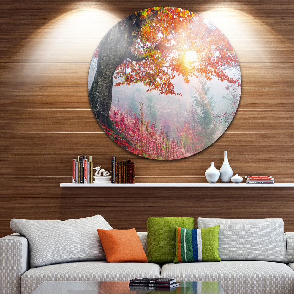 Morning In Misty Red Forest, Landscape Photo Round Metal Wall Art, 38"
