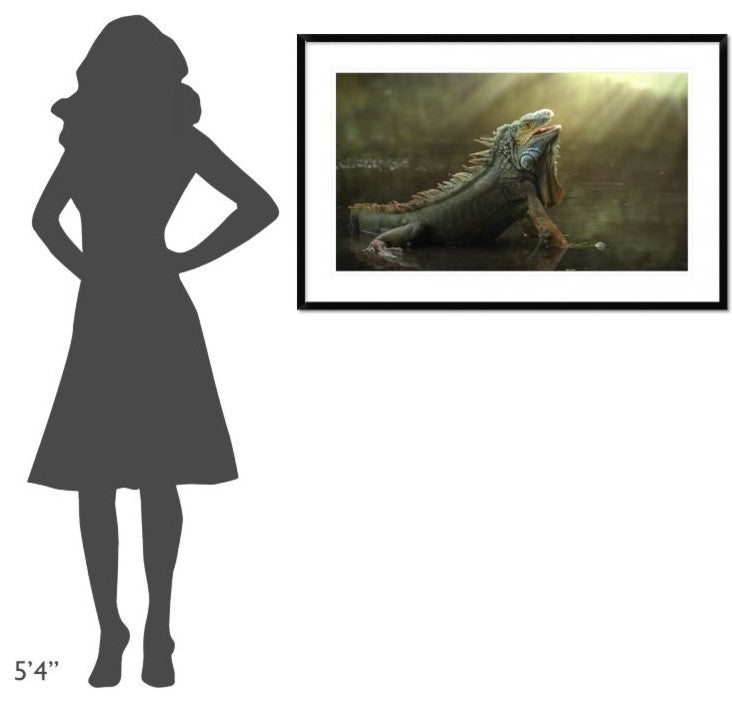 "Morning Light" Framed Digital Print by Fahmi Bhs, 44x28"