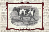"Cow Framed" Painting Print on Canvas