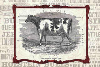 "Cow Framed" Painting Print on Canvas