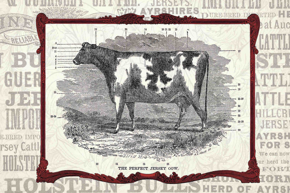 "Cow Framed" Painting Print on Canvas