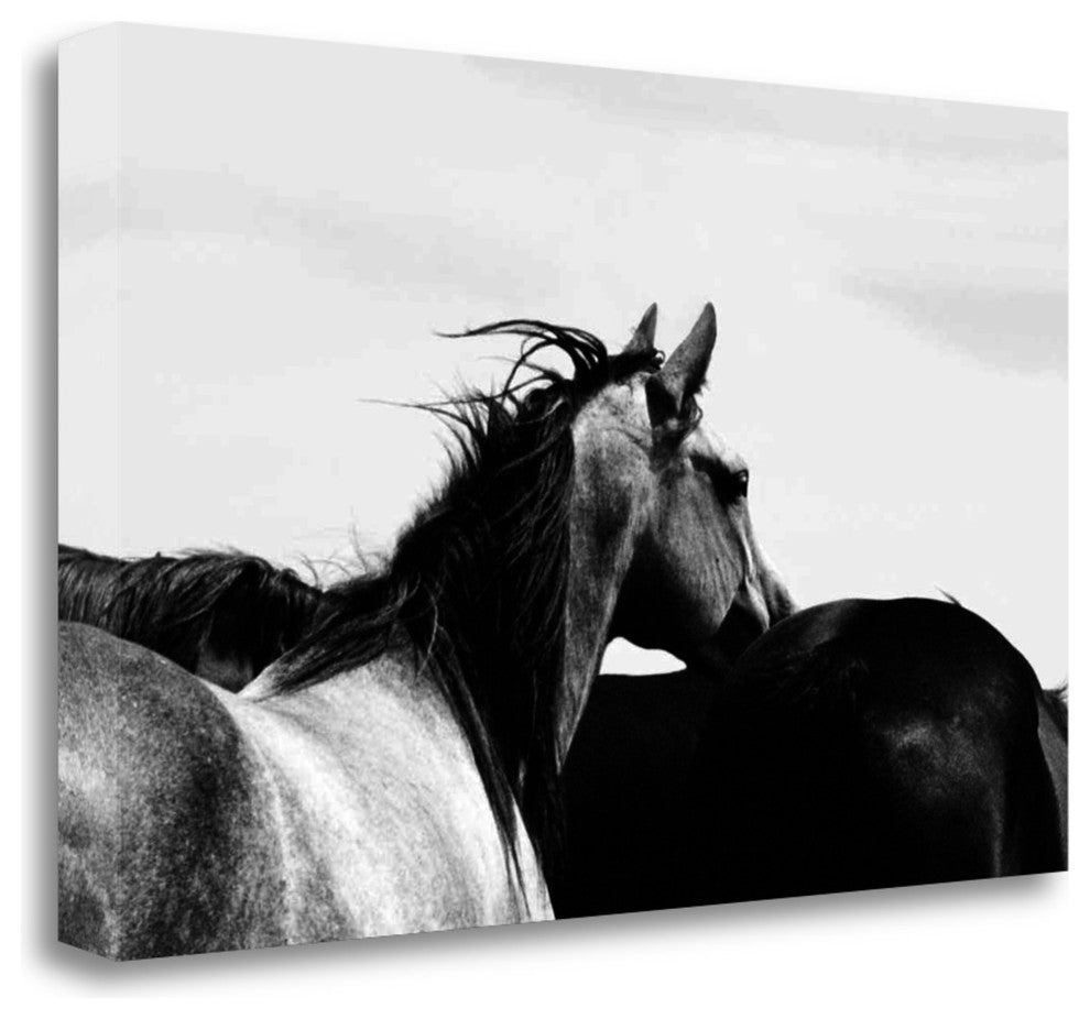 "Wild Whispers I" By Peggy Corpeny, Giclee Print on Gallery Wrap Canvas
