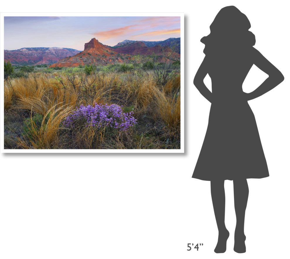 "Caprock Canyons State Park, Texas" Paper Print by Tim Fitzharris, 50"x38"