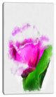 Pink Rose Watercolor with Leaves, Large Floral Canvas Artwork, 16"x32"