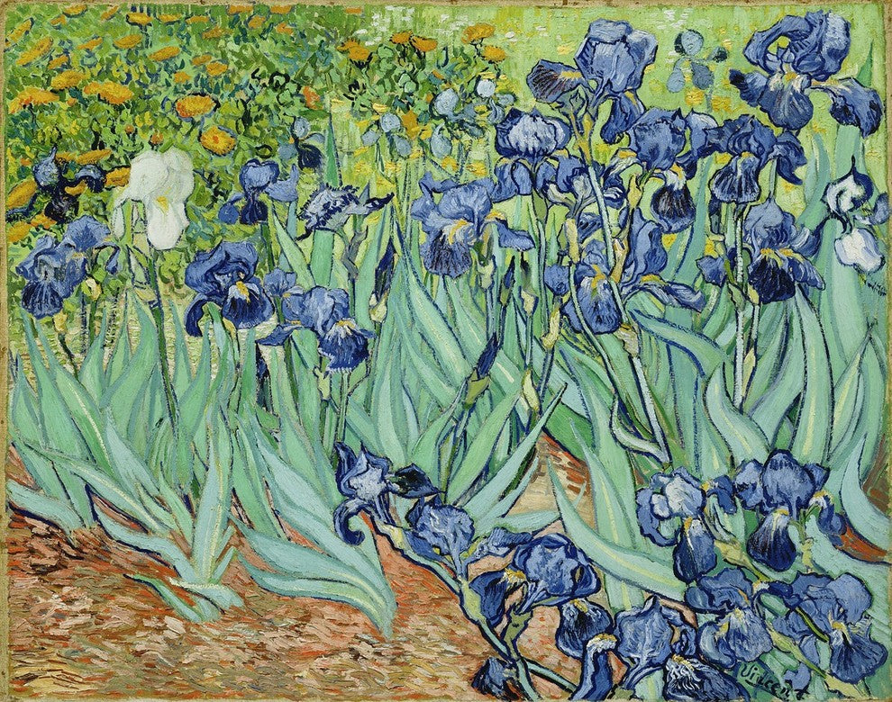 Vincent Van Gogh Irises, Gallery Wrapped Canvas Print, 20"x25"