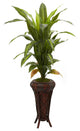 57" Dracaena With Stand Silk Plant, Real Touch