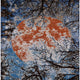 Ahgly Company Indoor Square Mid-Century Modern Area Rugs, 7' Square