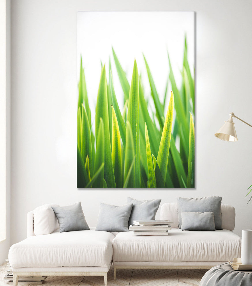 Blades of Green No. 2 - 72 x 48 by Sonja Quintero