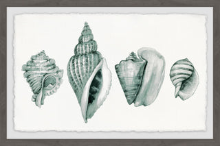 "Four Shells" Framed Painting Print, 18"x12"