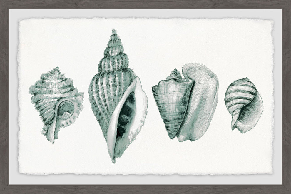 "Four Shells" Framed Painting Print, 18"x12"