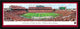 South Carolina Gamecocks Panoramic, Select Frame