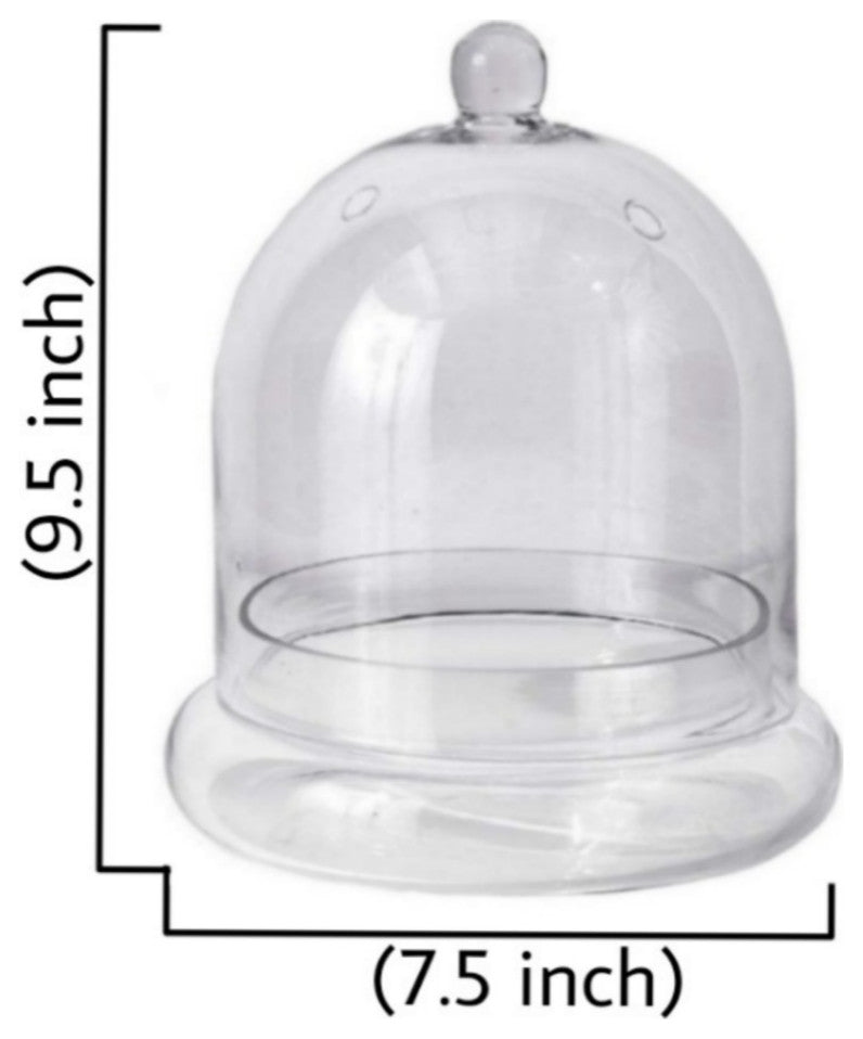 Serene Spaces Living Glass Cloche, Ideal as a Terrarium
