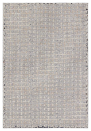 Baxley Geometric Gray/ Beige Area Rug 10'X14'