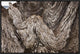 Folded Limestone Layers, Kaikoura, North Canterbury, New Zealand, 24"x16"