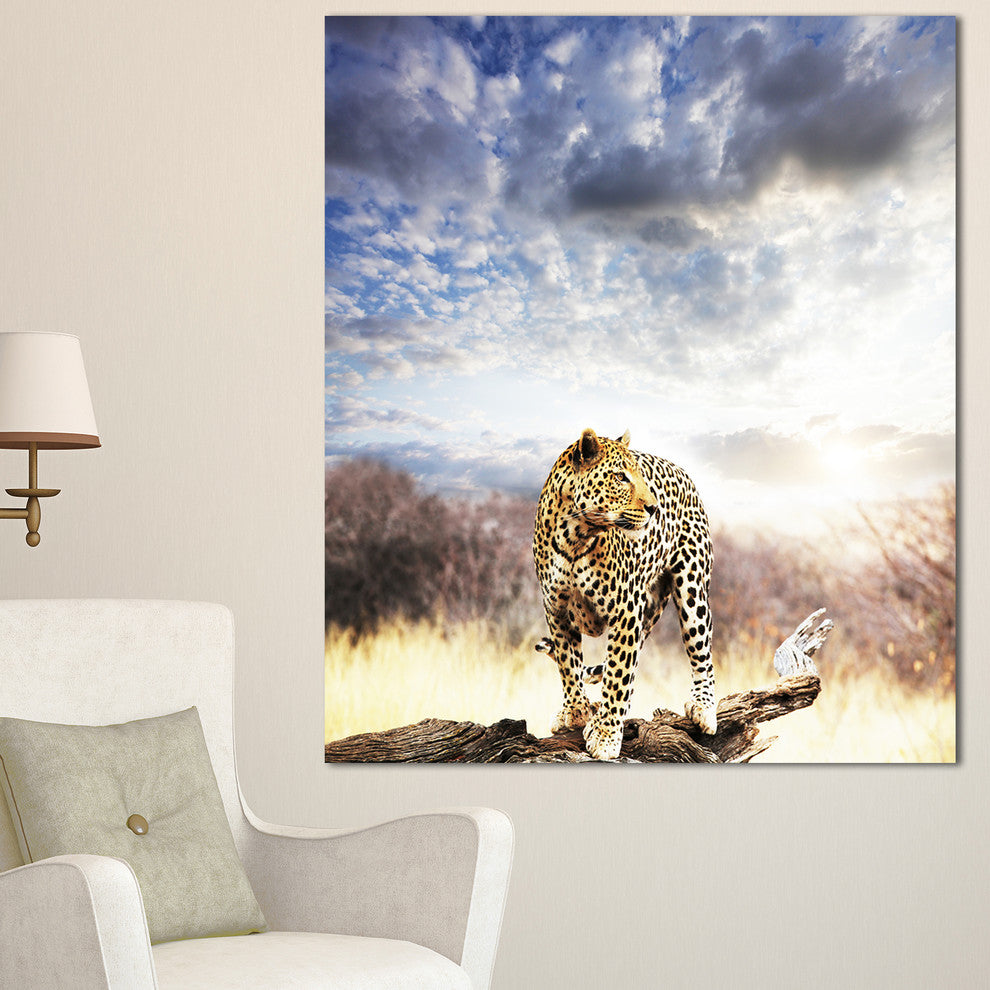Leopard Walking under Cloudy Sky, African Canvas Art Print, 30"x40"