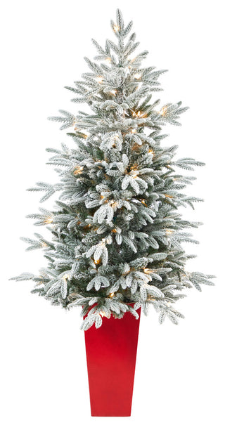 5' Flocked Manchester Spruce Faux Xmas Tree W/100 Lights & 357 Bendable Branches