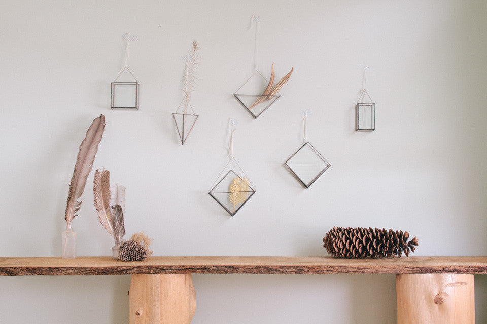 Square Terrarium Wall Vase, Medium, Hookeye