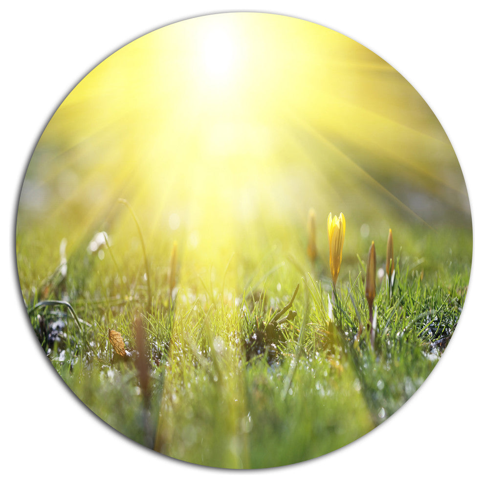 Bright Sunset Above Spring Flowers, Landscape Round Wall Art, 23"