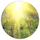Bright Sunset Above Spring Flowers, Landscape Round Wall Art, 23"