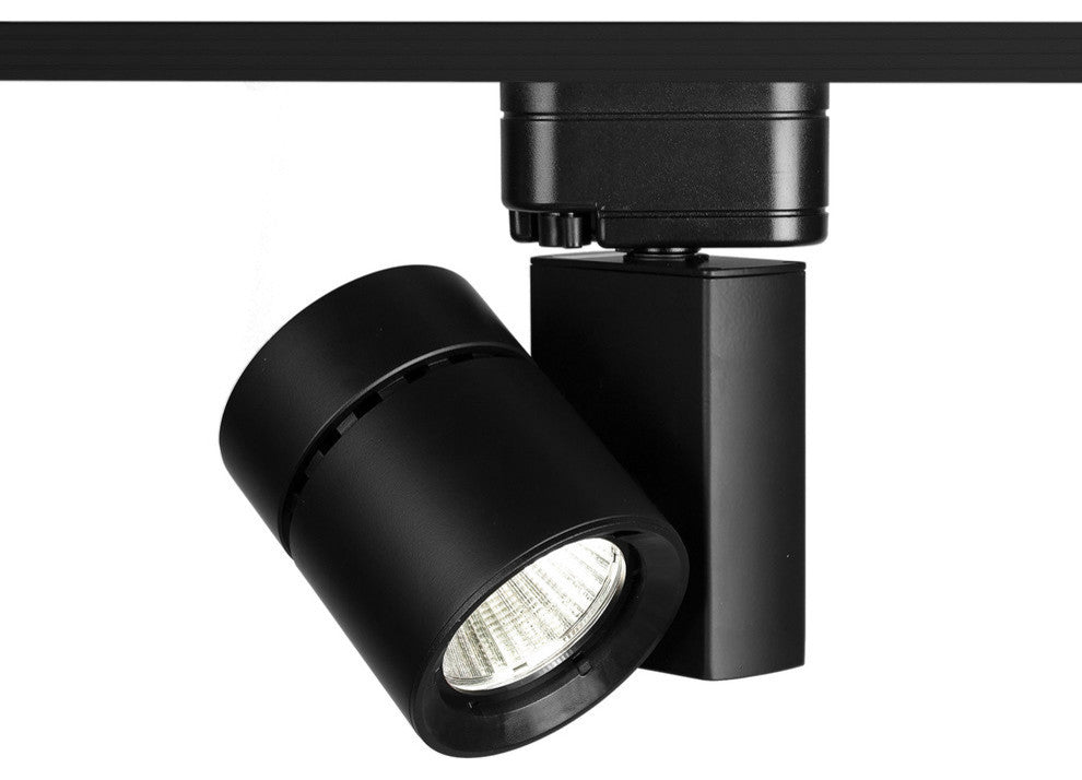 WAC Lighting Exterminator II Fixture 2700K Flood Beam, Black, J Track