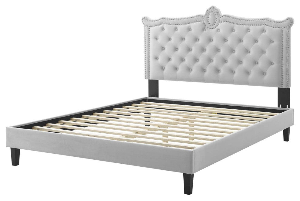 Platform Bed Frame, Nailhead, Queen Size, Gray, Velvet, Modern
