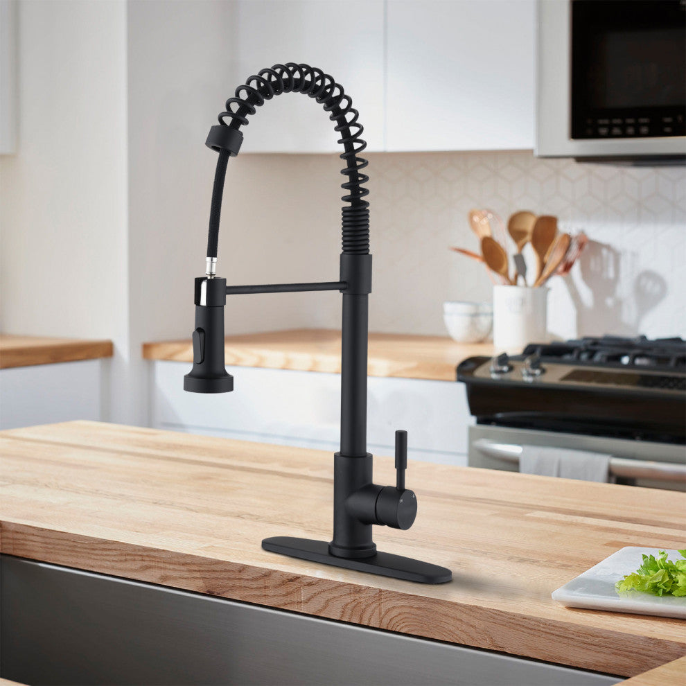 Givingtree Pull Down Sprayer Spring Kitchen Sink Faucet Matte Black