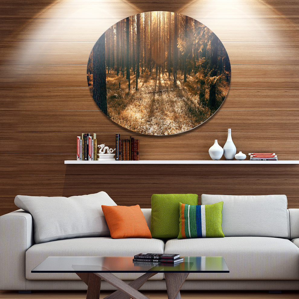 Dark First Snow Forest Photo, Modern Forest Round Wall Art, 36"