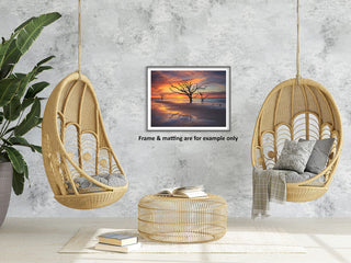 Sunrise and Trees At Edisto Island Coastal Landscape Photo Loose Wall Art Print, 24" X 36"