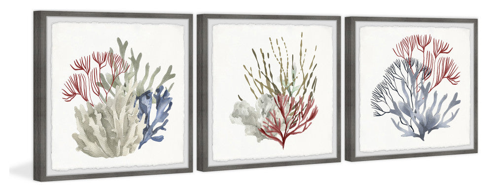 Marine Life Display Triptych, 3-Piece Set, 32x32 Panels