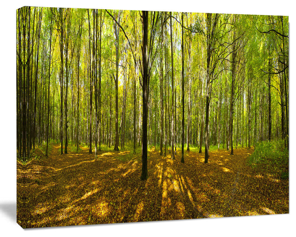 Green Autumn Forest Panorama, Large landscape Canvas Art Print, 60x40