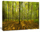 Green Autumn Forest Panorama, Large landscape Canvas Art Print, 60x40