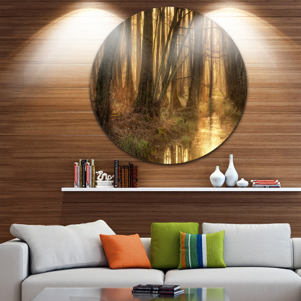 Golden Morning In Dense Forest, Landscape Photo Disc Metal Artwork, 11"