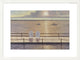 "On the Bay" Framed Digital Print by Diane Romanello, 33x25"