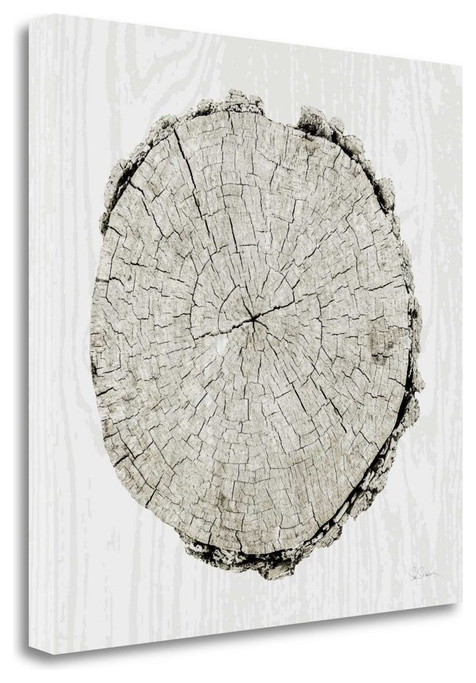 "Woodland Years II" By Sue Schlabach, Giclee Print on Gallery Wrap Canvas