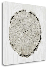 "Woodland Years II" By Sue Schlabach, Giclee Print on Gallery Wrap Canvas
