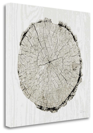 "Woodland Years II" By Sue Schlabach, Giclee Print on Gallery Wrap Canvas