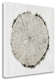 "Woodland Years II" By Sue Schlabach, Giclee Print on Gallery Wrap Canvas