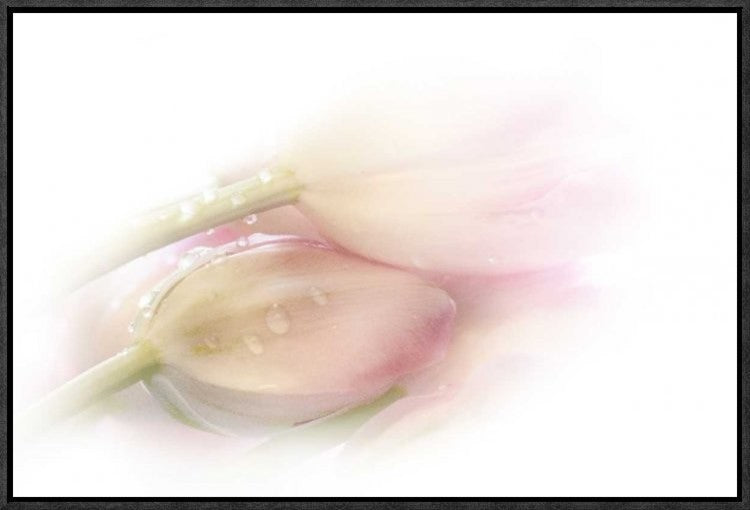 "Touching" Framed Canvas Giclee by Stefan Eisele, 23x16"