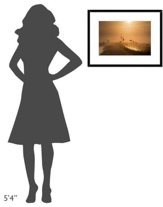 "Sunrise Flight" Framed Digital Print by Harm Klaverdijk, 26"x20"